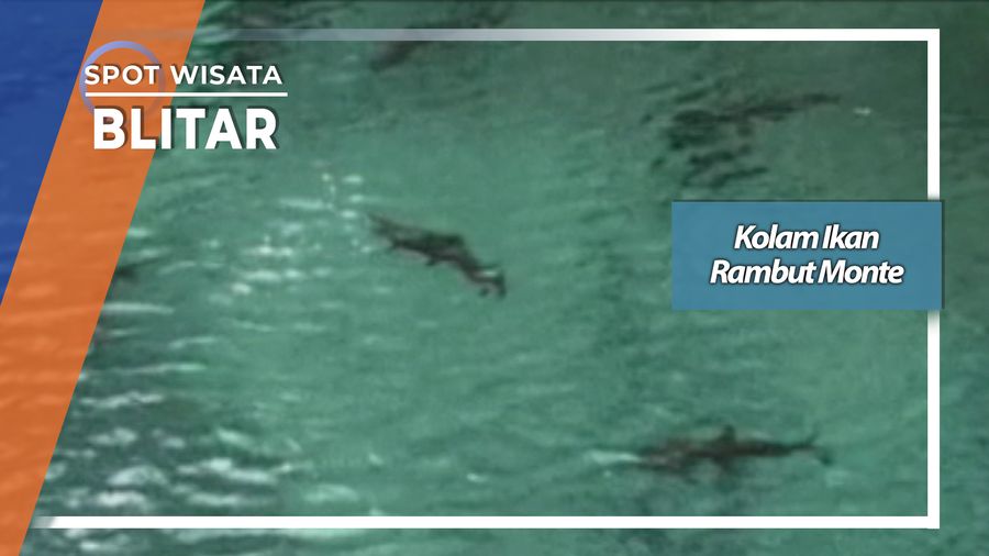 Kolam Ikan Rambut Monte, Blitar