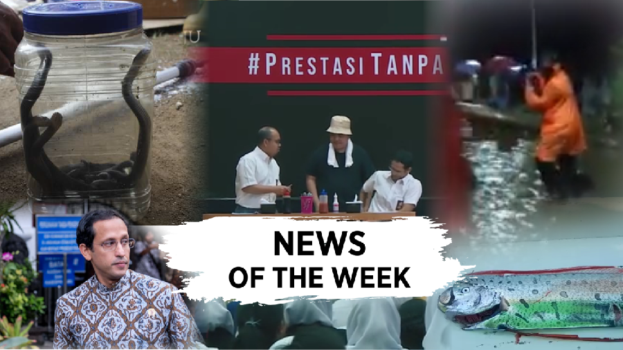 News Of The Week: UN Dihapus, Heboh Teror Ular Kobra