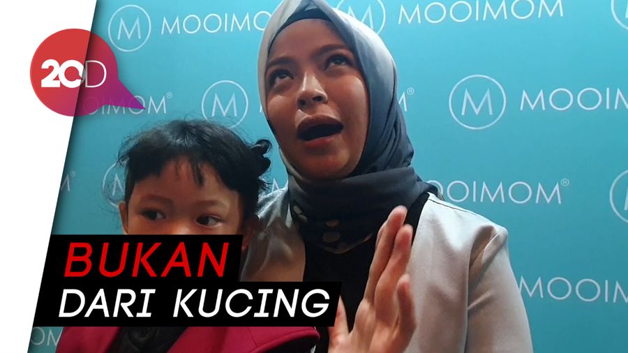 Tantri Kotak Tegaskan Bebas dari Virus Toxoplasmosis