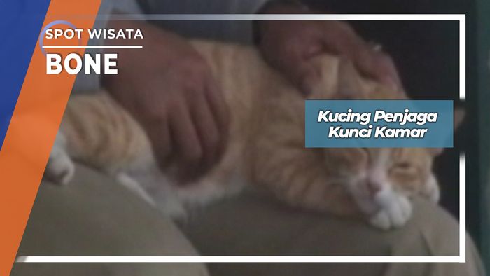 Scoopy, Kucing Penjaga Kunci Kamar Bone 