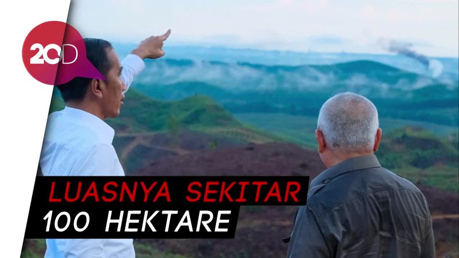 Jokowi Ingin Punya Kebun Bibit di Ibu Kota Baru