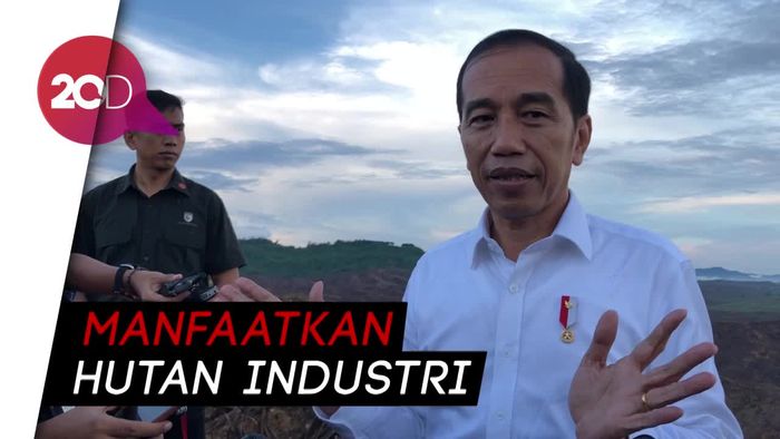  Jokowi Tegaskan Ibu Kota Baru Tak Mencaplok Hutan Lindung