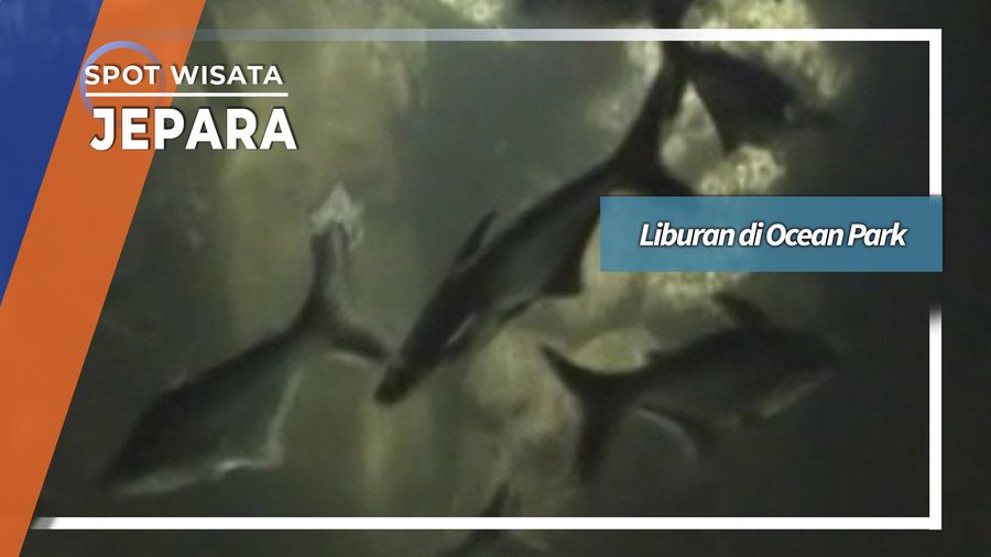 Liburan di Kura-Kura Ocean Park, Jepara