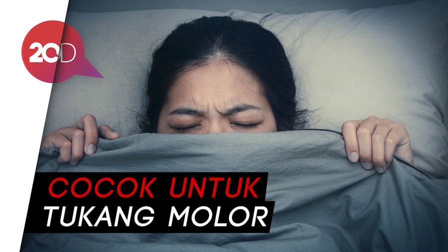 Dibayar Rp 19,6 Juta Cuma untuk Tidur, Mau?