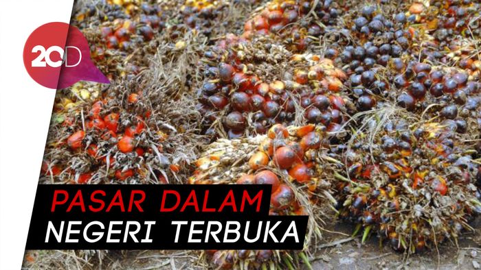 Jokowi Cuek Sawit RI Ditolak Eropa