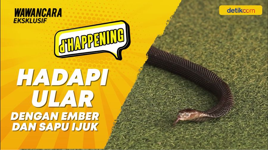 Sebentar Lagi dHappening Alat Rumah Tangga Penakluk Ular