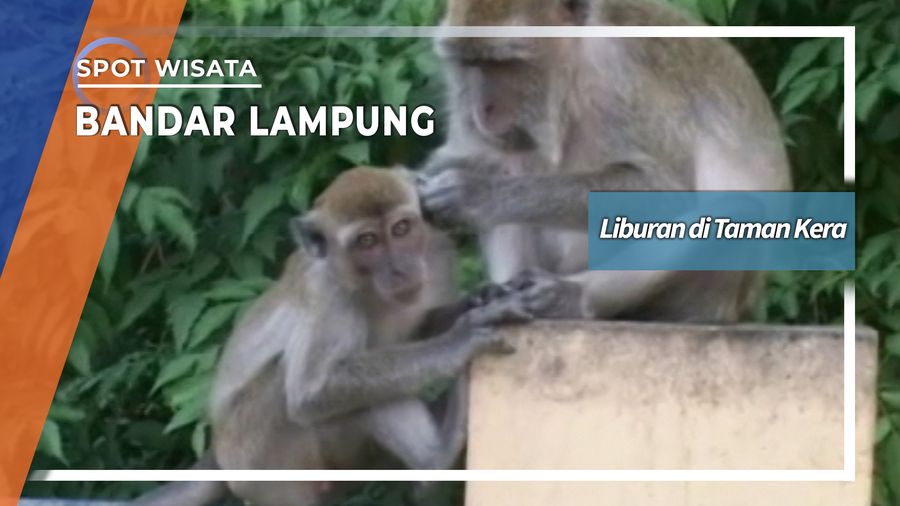 Liburan di Taman Kera Bandar Lampung