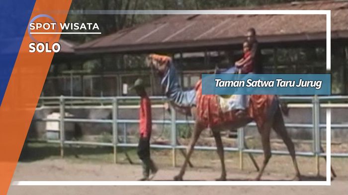 Taman Satwa Taru Jurug Solo