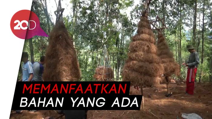 Kreativitas Warga Mamasa Sulap Daun Pinus Kering Jadi Pohon Natal