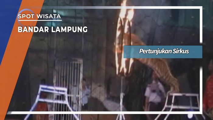 Pertunjukan Sirkus Bandar Lampung