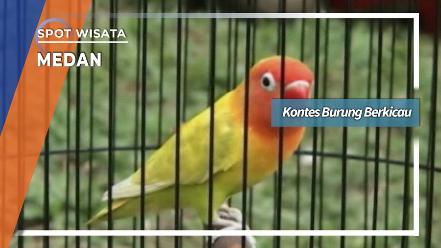 Kontes Burung Berkicau Gedung Johor Medan
