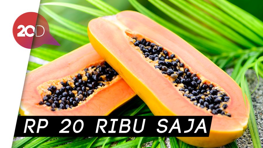 Uniknya Abon Pepaya, Cocok untuk Vegetarian