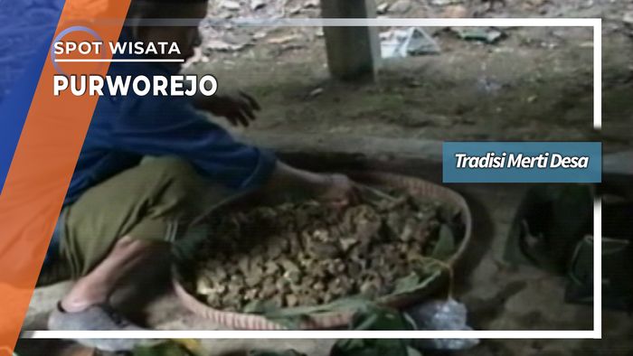 Tradisi Merti Desa di Purworejo Jawa Tengah 