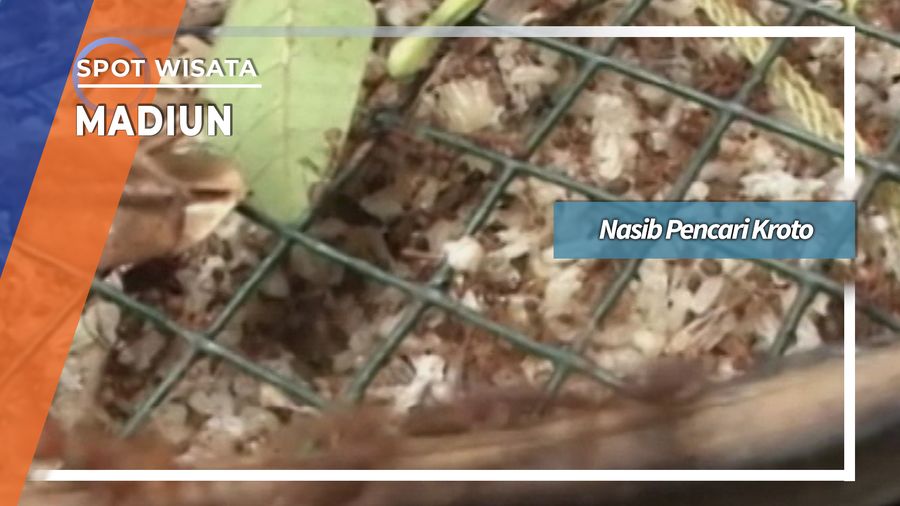 Kroto Pangkur Ngawi Jawa Timur