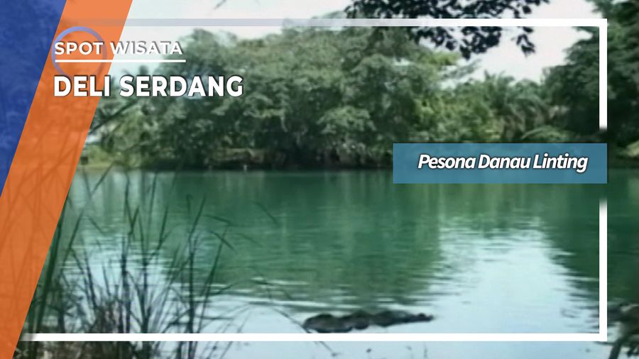 Warna Biru Air Hangat Danau Linting Deli Serdang