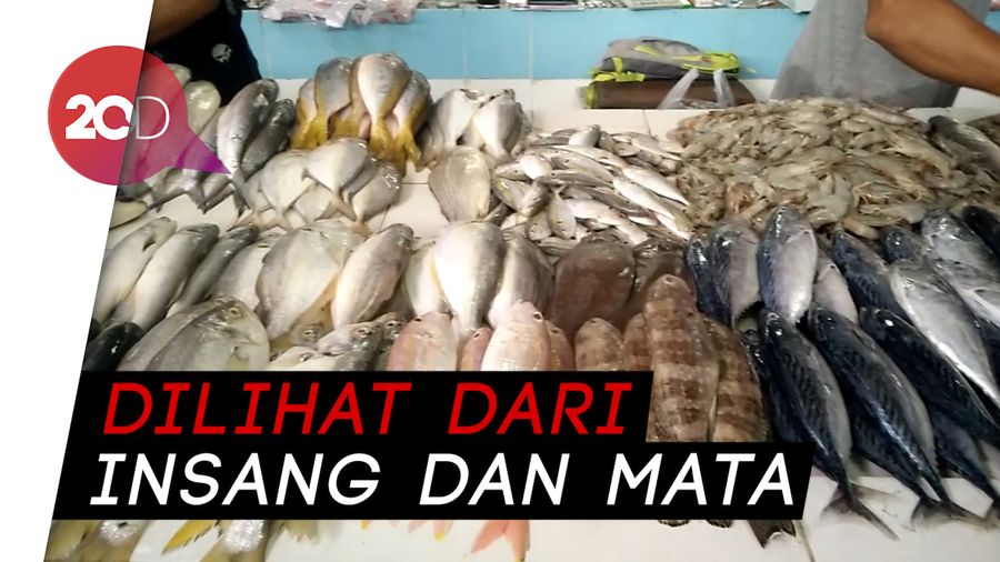 Tips Memilih Ikan Segar untuk Bakar-bakaran di Malam Tahun Baru