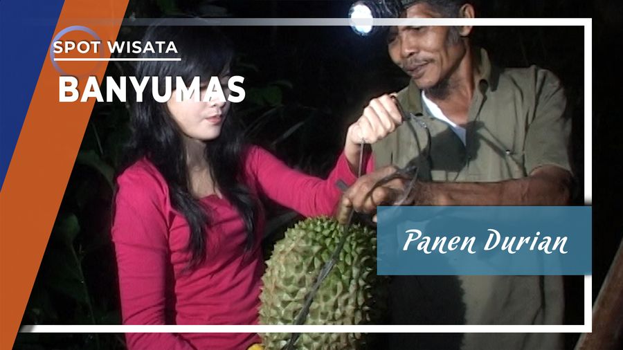 Panen Durian, Banyumas