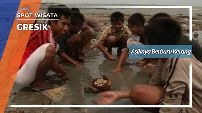 Berburu Kerang Saat Surut Gresik, Jawa Timur