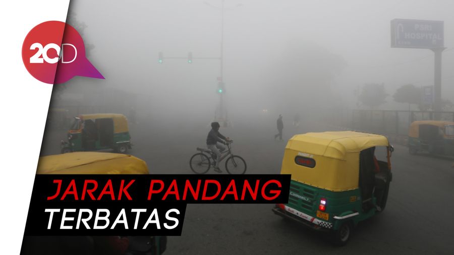 Brrr! India Diselimuti Kabut Musim Dingin
