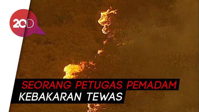 Jelang 2020, Australia Masih Berjibaku dengan Kebakaran Hutan