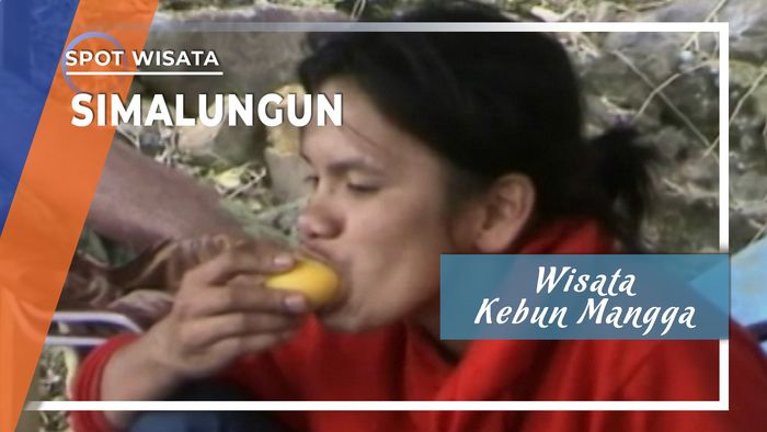 Wisata Kebun Mangga, Simalungun