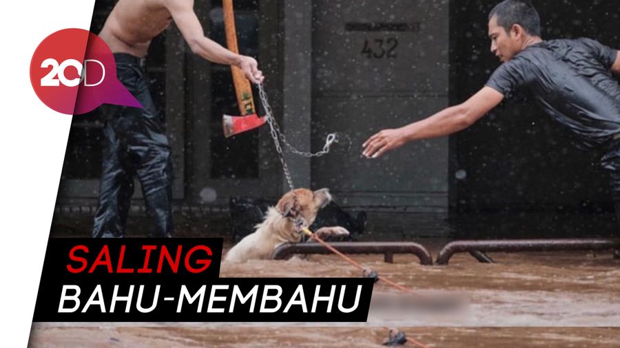 Aksi Heroik Penyelamatan Anjing yang Terjebak Banjir di Depok