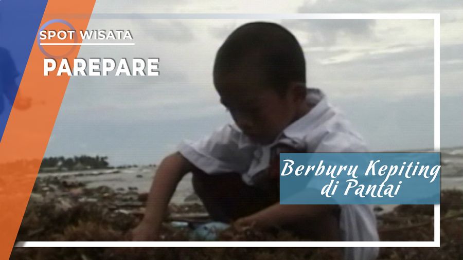 Berburu Kepiting di Pantai Loje Parepare