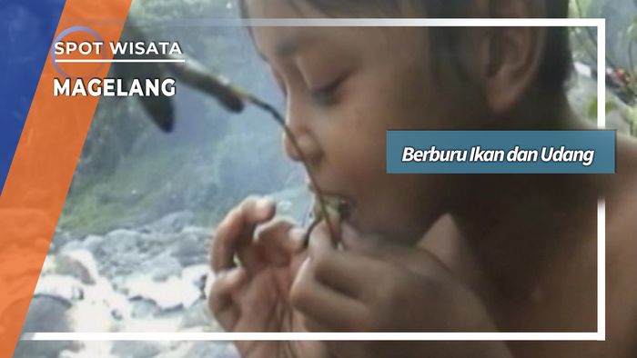 Berburu Ikan dan Udang Sungai Blongkeng Muntilan Magelang