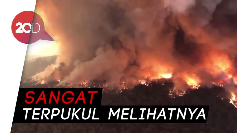 Pink Sumbang Rp 6,9 M untuk Bantu Kebakaran di Australia