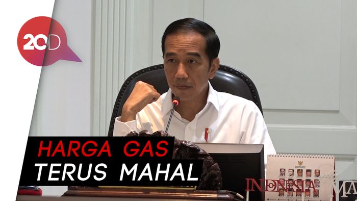 Kesal Gas Mahal, Jokowi: Saya Mau Ngomong Kasar
