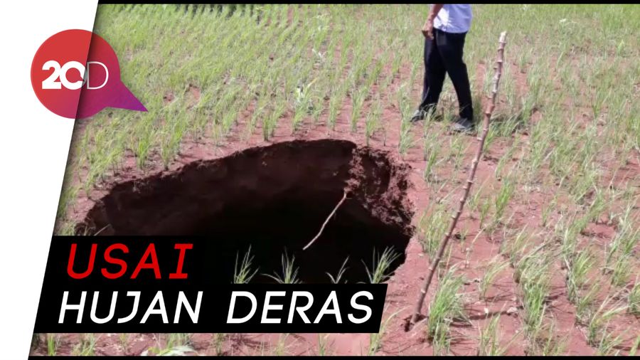 Lubang Besar Tiba-tiba Muncul di Tengah Sawah Gunungkidul