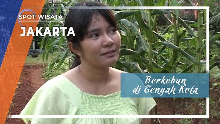 Berkebun di Tengah Kota, Kelapa Gading Jakarta Utara