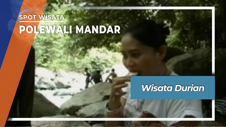 Wisata Durian, Polewali Mandar