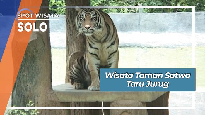 Wisata Taman Satwa Taru Jurug, Solo