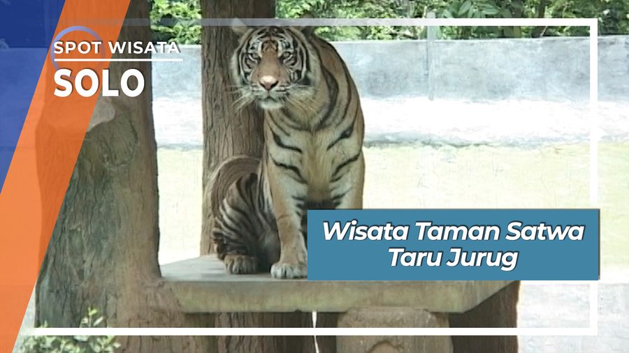 Wisata Taman Satwa Taru Jurug, Solo