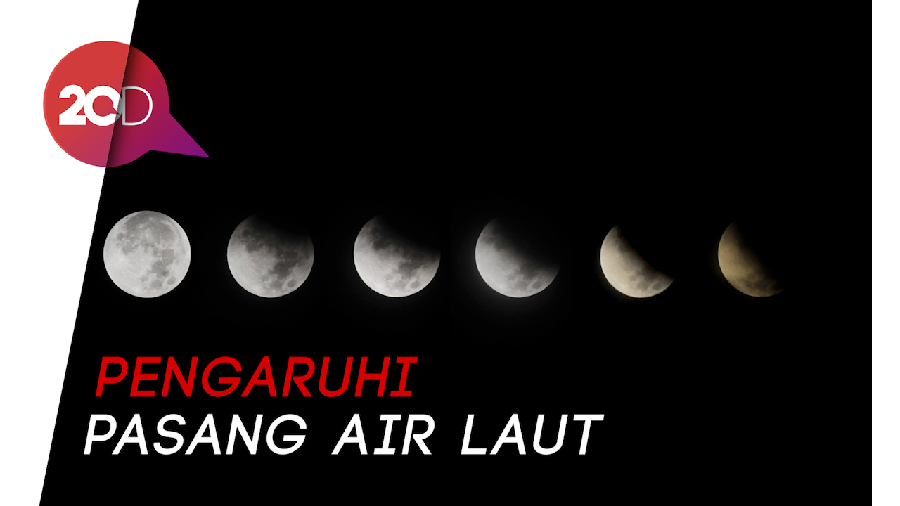 Gerhana Bulan Penumbra Terjadi 11 Januari di Indonesia