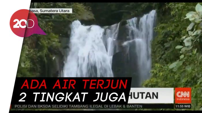 Rasakan Sensasi Menyeduh Kopi di Tengah Hutan Tobasa