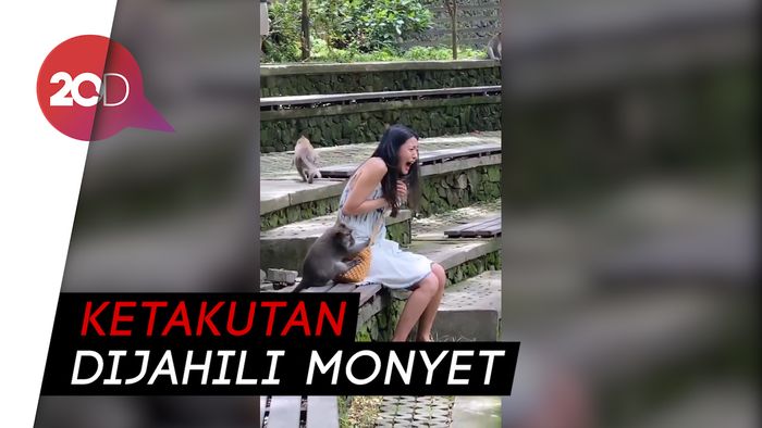Liburan di Bali, Seolhyun AOA Dijahili Monyet