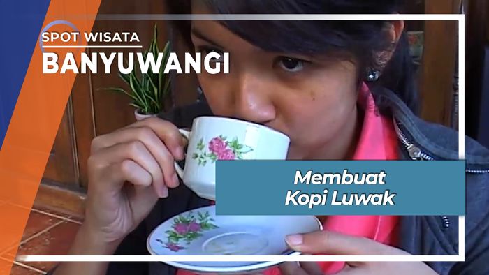 Menikmati Kopi Luwak Liar Banyuwangi 