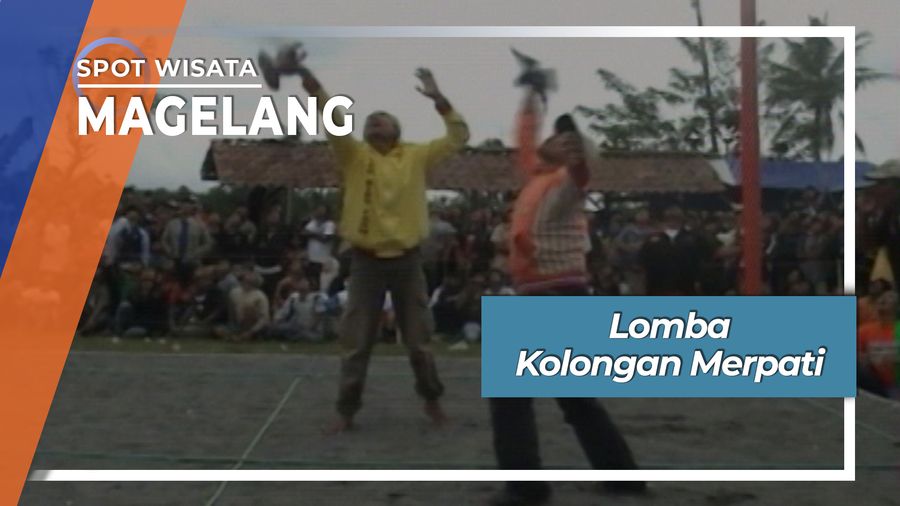 Penghobi Merpati Kolongan Desa Ngadipuro Dukun Magelang