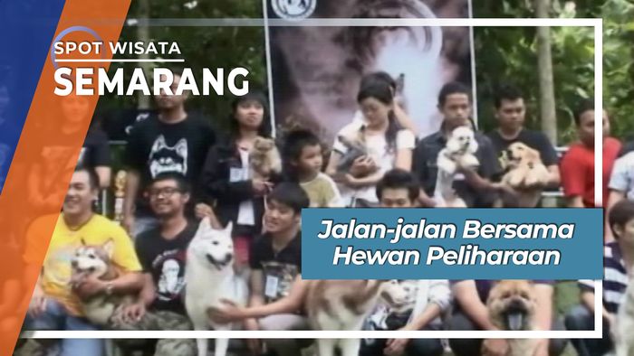 Jalan-Jalan Bersama Hewan Peliharaan di Semarang