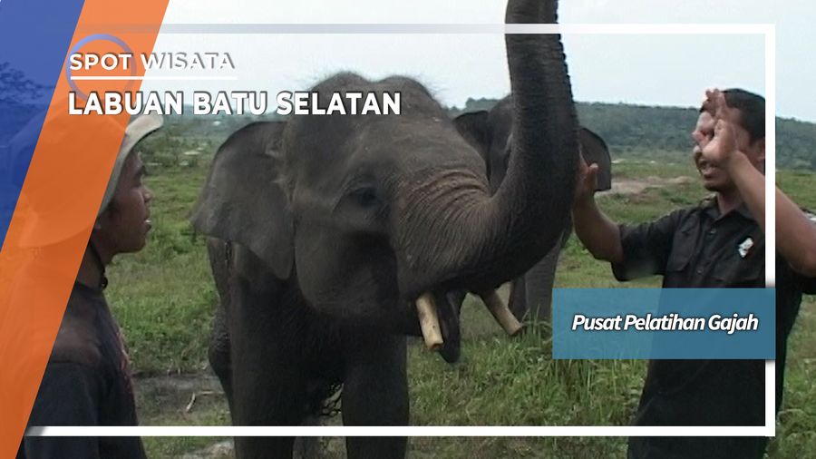 Pusat Pelatihan Gajah Labuan Batu Selatan