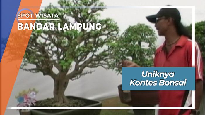 Uniknya Kontes Bonsai, Bandar Lampung