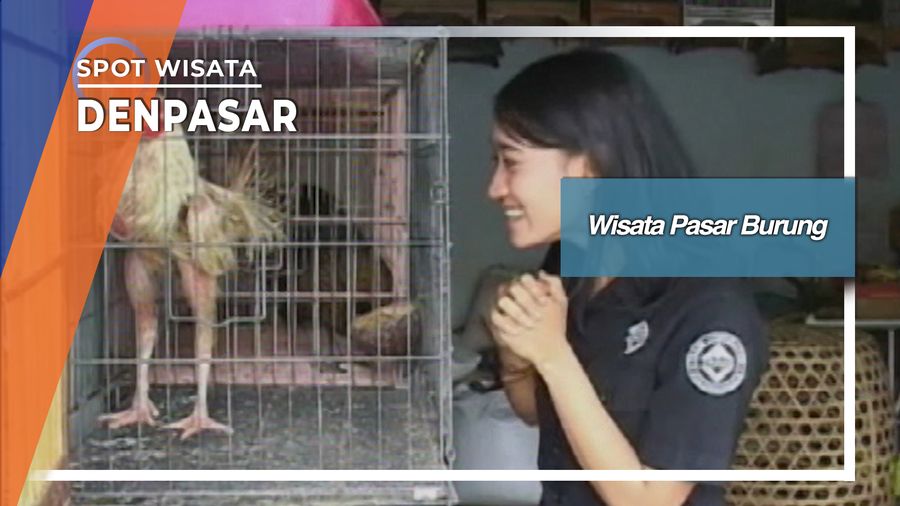 Wisata Pasar Burung Satria Denpasar