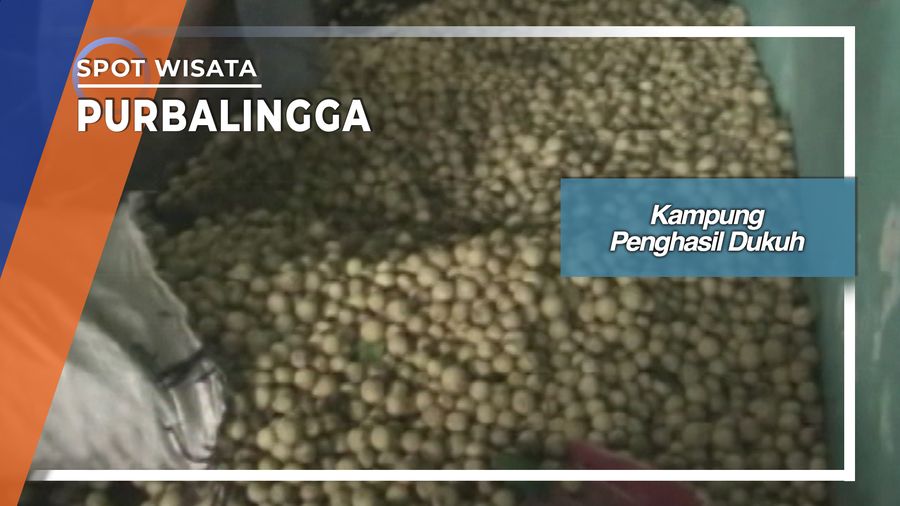 Duku Manis Desa Kalikajar Kaligondang Purbalingga