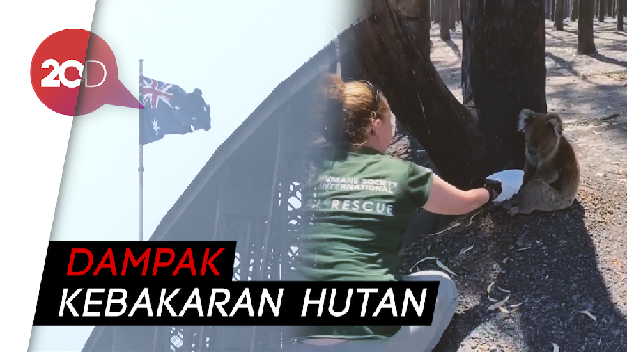 Kualitas Udara di Melbourne dan Sydney Memburuk