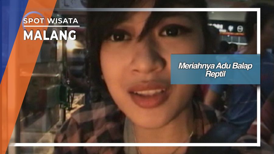 Meriahnya Adu Balap Reptil di Malang