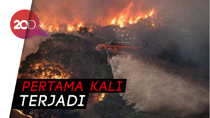 Parah! Asap Kebakaran Australia Kelilingi Bumi              