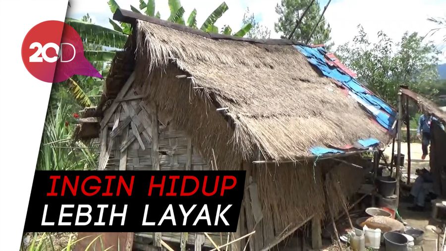 Miris! Potret Pasutri Lansia di Mamasa Hidup di Gubuk Reot
