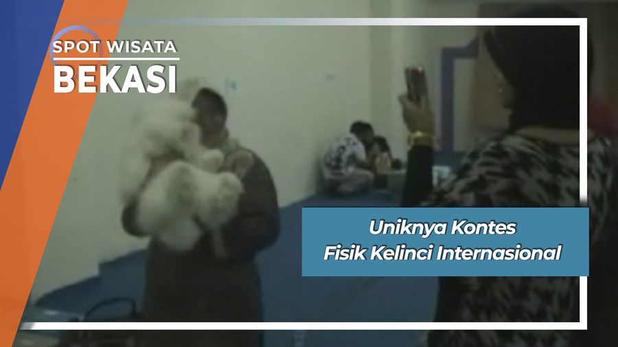 Kontes Fisik Kelinci Internasional Bekasi